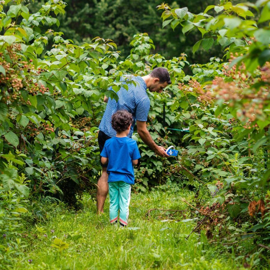 Gite O'Bordeleau (Adults Only) Luskville Eksteriør bilde